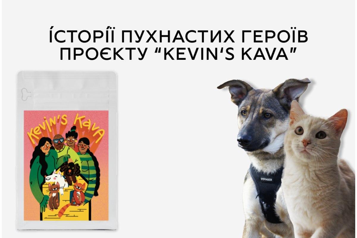 Истории пушистых героев проекта "Kevin's Kava"