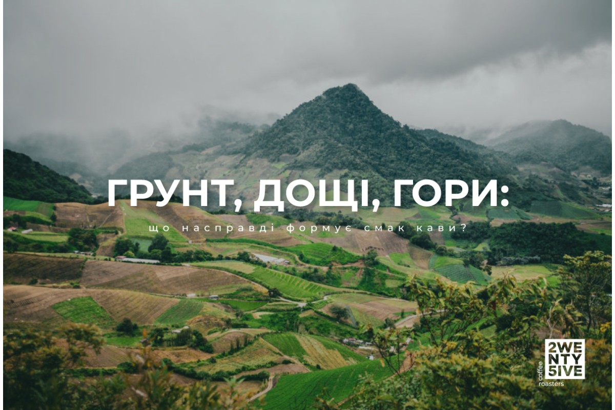 Від вулканів до джунглів: як місце вирощування впливає на каву у твоїй чашці